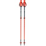 24-one-way-rd-carbon-vario