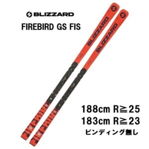27-blizzard-firebird-gs-fis