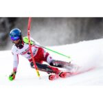 27-komperdell-nationalteam-carbon-slalom-12-3-pc