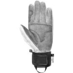 27-reusch-champ-1101