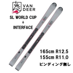 27-van-deer-sl-world-cup-interface